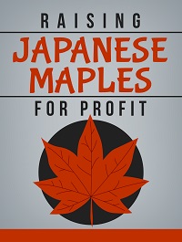 japanesemapletrees